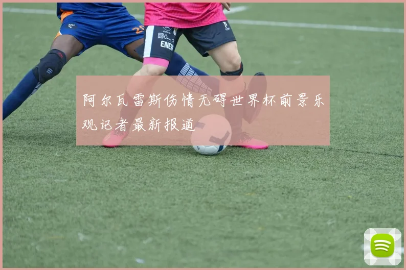 阿尔瓦雷斯伤情无碍世界杯前景乐观记者最新报道