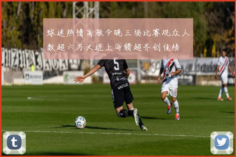 球迷热情高涨今晚三场比赛观众人数超六万大连上海赣超齐创佳绩
