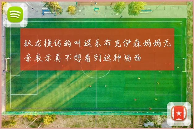狄龙模仿狗叫逗乐布克伊森妈妈无奈表示真不想看到这种场面